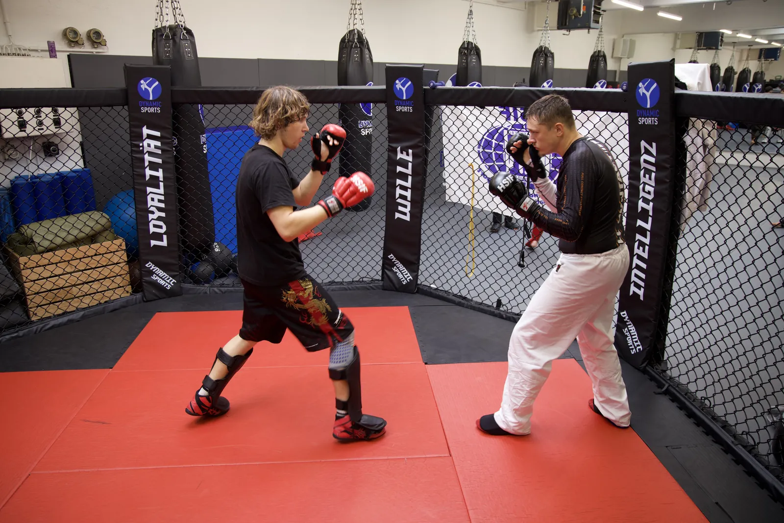 Sparring im Cage beim Training
